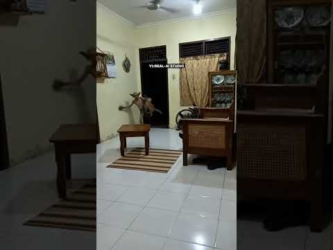 konten hiburan#viral#viralvideo#viralshort #fypシ#trending#trendingshorts#trendingvideo