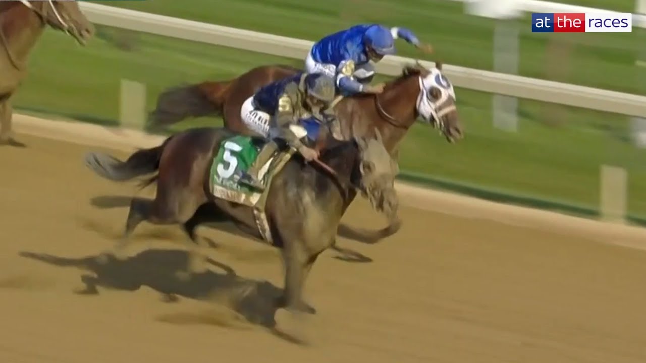 Breeders' Cup Hero Sierra Leone Wins Whitney Stakes 🏆