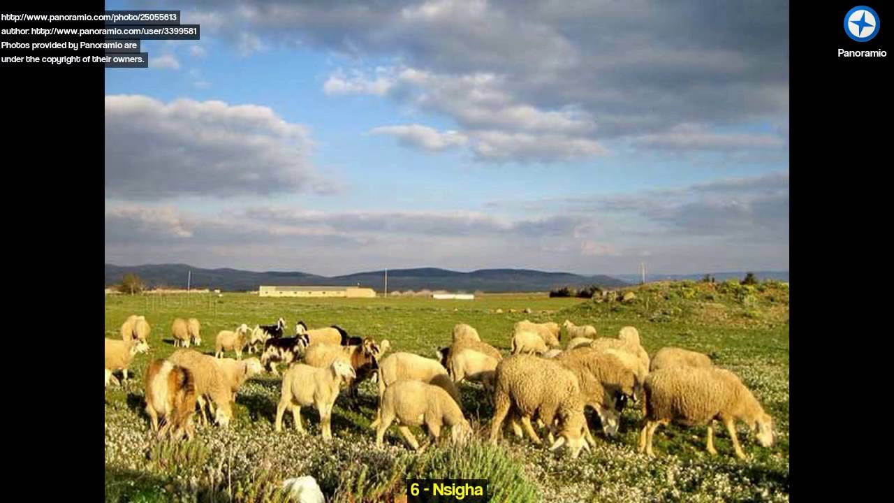 Explore Khenchela, Algeria 🇩🇿
