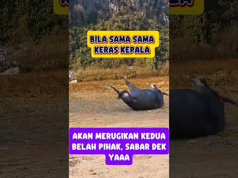 Nasihat #komedi #nasihat