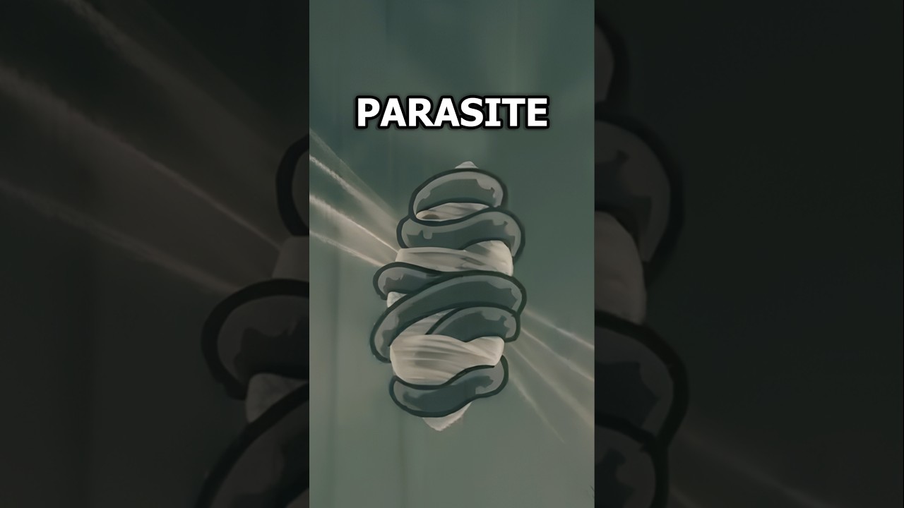 Silksong's Cursed Quest: Cosmic Horrors Await 🌌