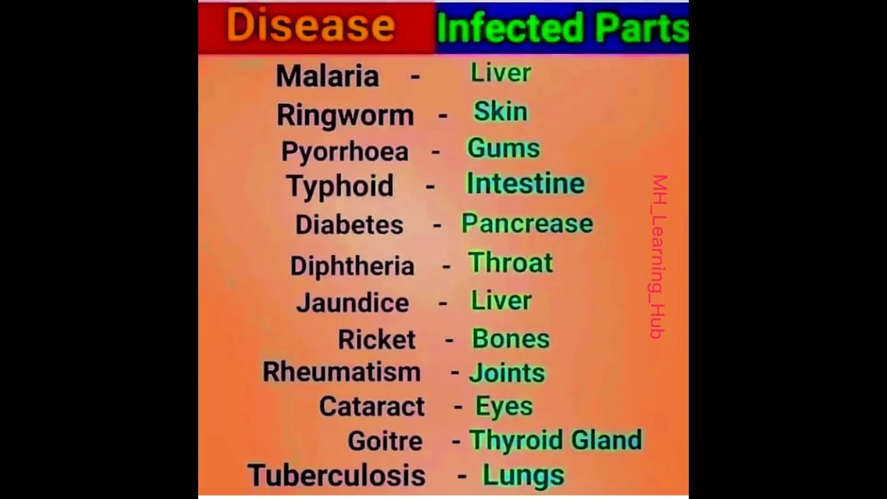 Top Common Diseases & the Parts They Infect 🦠