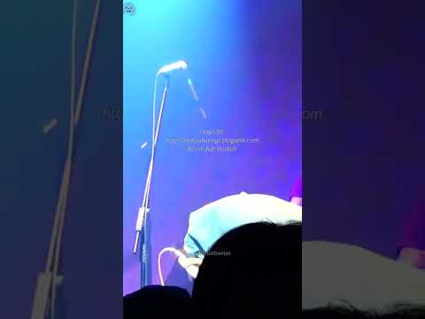 Homage - Mild High Club Vietsub Lyrics