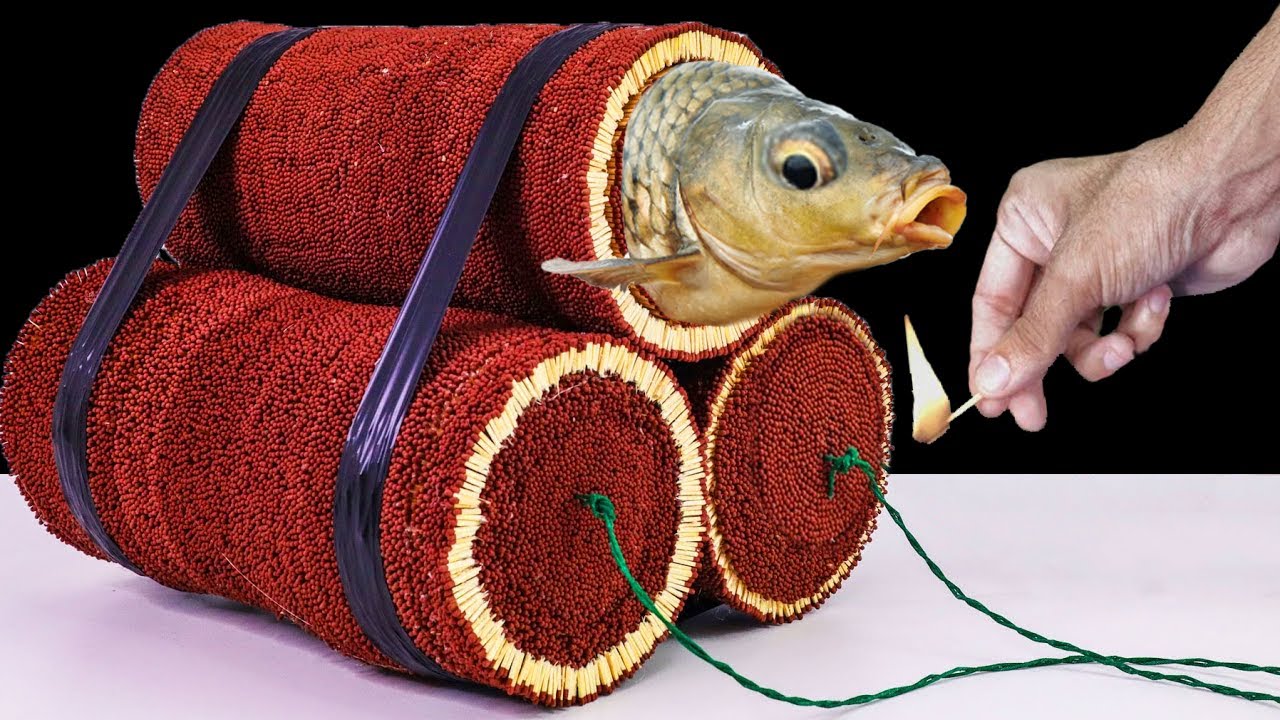 Fish in 50,000 Safety Matches Chain Reaction 🐟