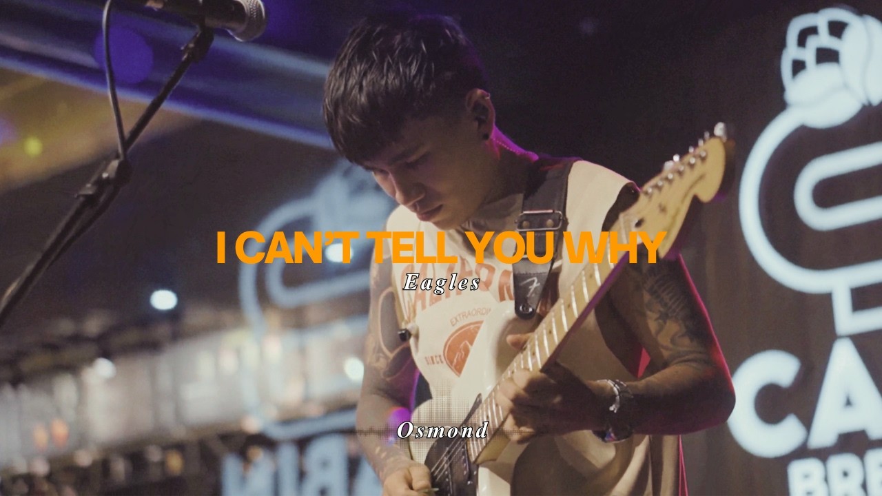 I Can't Tell You Why - Eagles (Cover)
