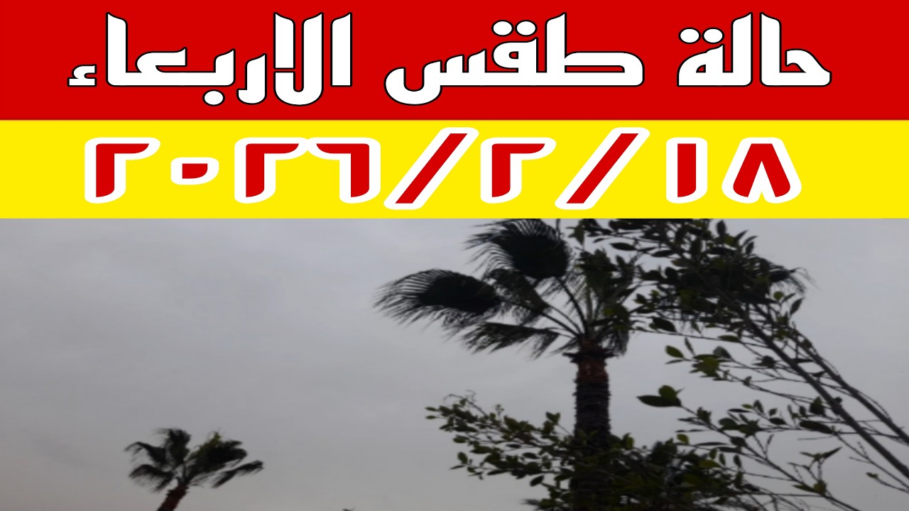 انخفاض الحرارة وأمطار ورياح غدًا 🌧️