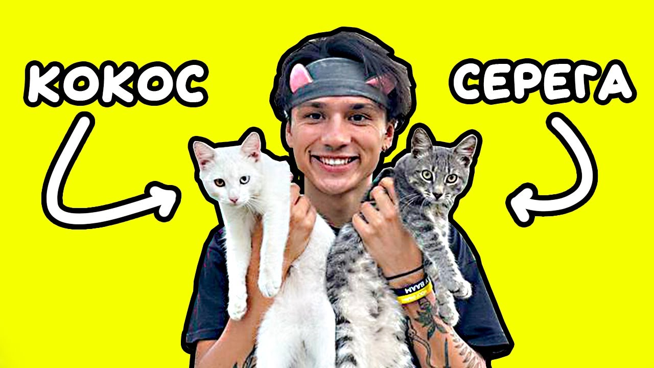 Holy Baam - Котята и Спагетти 2 🐱🍝