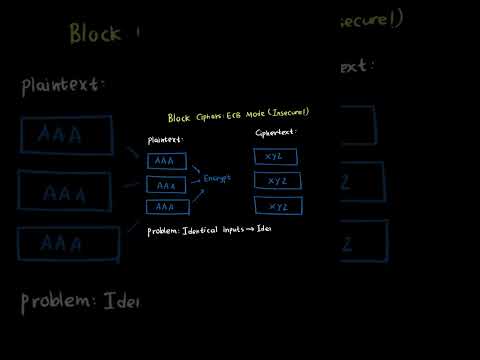 Pass WGU D334 OA Faster – 1 Key Tip