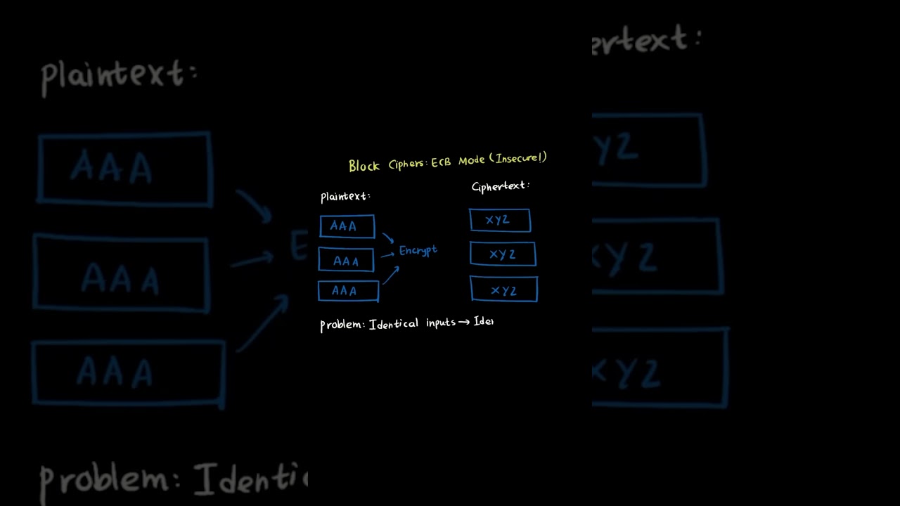 Pass WGU D334 OA Faster – 1 Key Tip