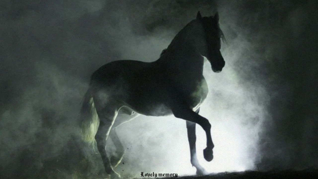 Amigo bronco–Bronco(Letra).