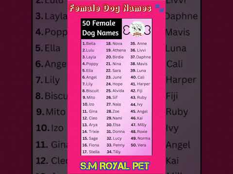 Female Dog Names 🐾 50 💕 Kannada @PetcareKannada @mediakingkannada #petloverszone #dog #puppy #1m