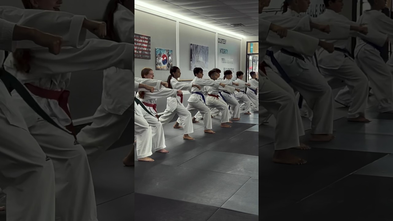 Intensive Taekwondo Training Session | Poomsae Practice