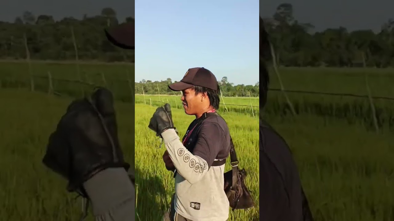 MEI Alap BG Mengagcor ☠️ Tonton Video Lengkapnya