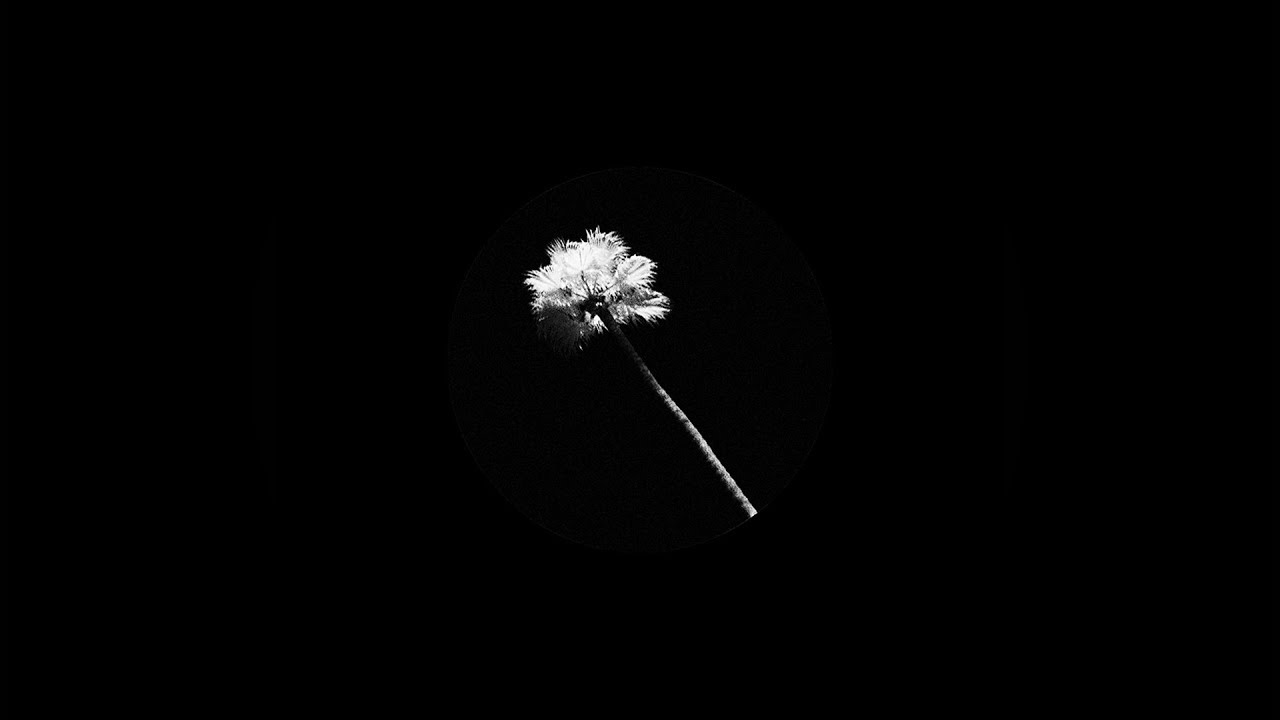 Black Atlass Releases New Single 'Blonde' 🎶