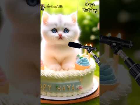 HAPPY BIRTHDAY HAYA | HAPPY BIRTHDAY SONG WITH NAMES | Adorable Cute Cat 😺 #cat #happybirthday