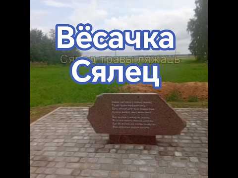 Памяти дорогих мне людей и всех односельчан деревни Селец Сморгонского района.#родина #песниожизни