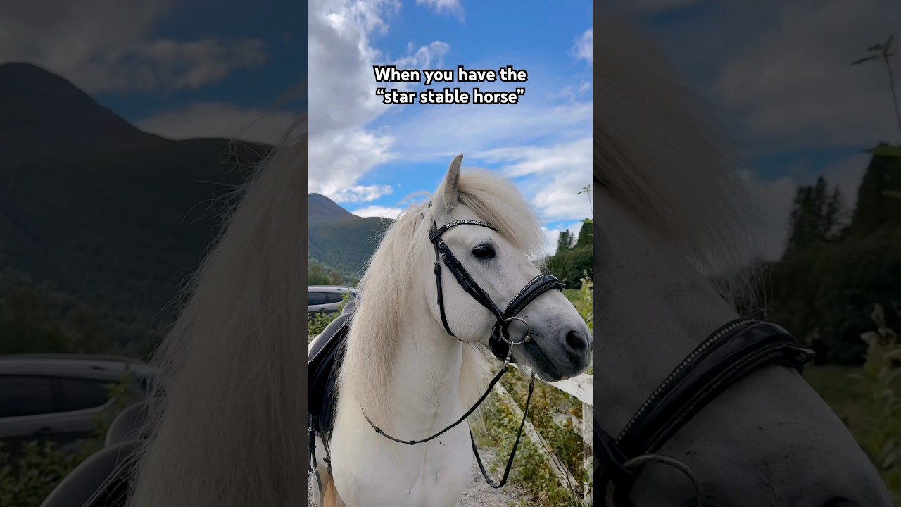 Star Stable Horse Tips 🐴
