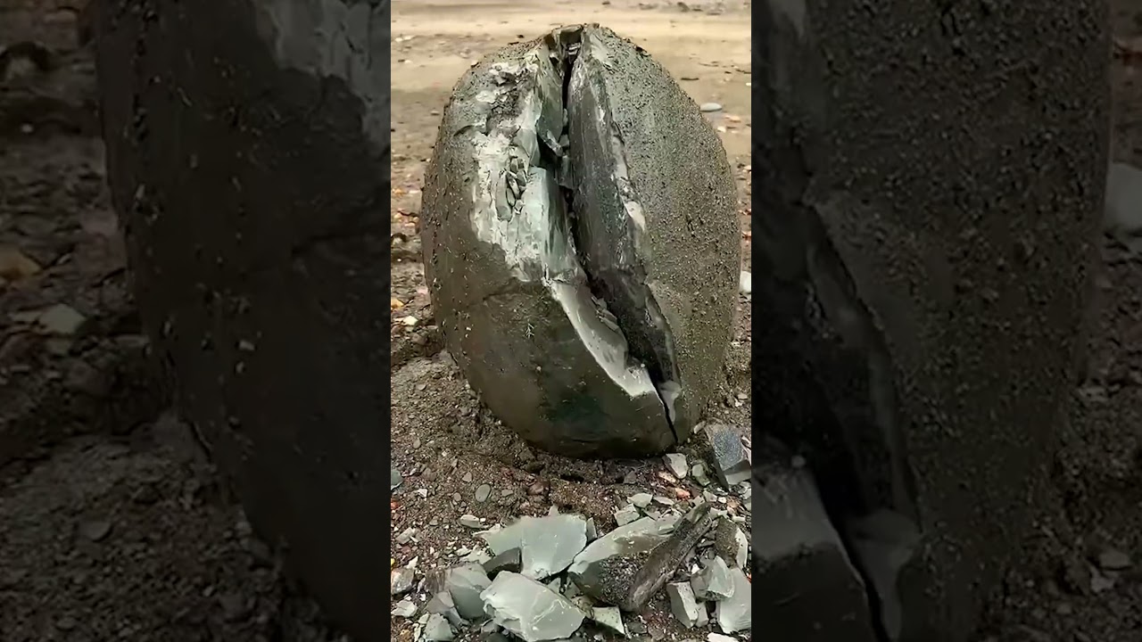 Обнаружено загадочное яйцо динозавра 🦕
