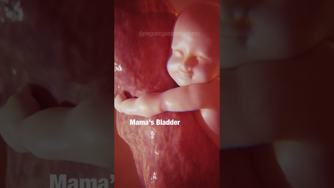 Magical Things Babies Do in the Womb 😍