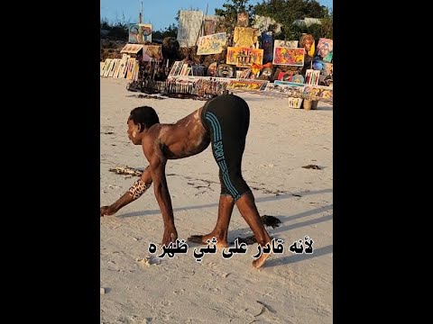 حسن غوريلا ومهارته المذهلة في ثني الظهر 🤸♂️