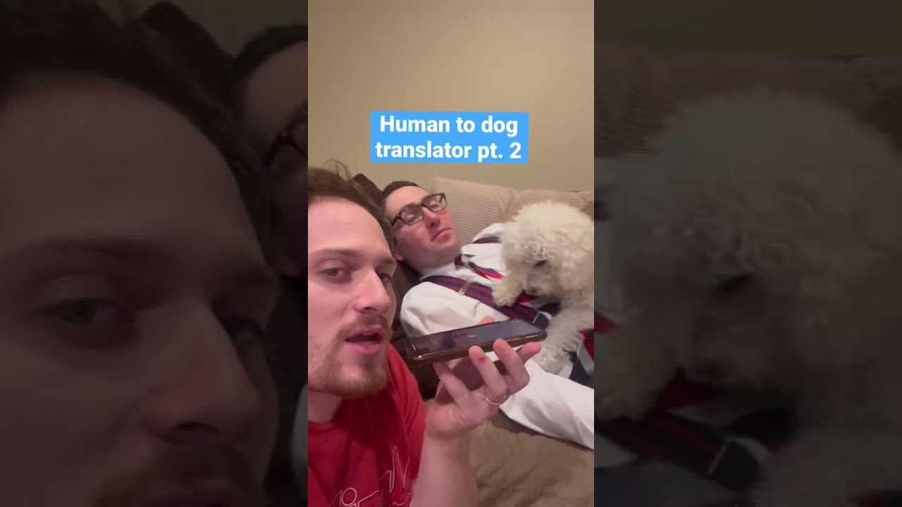 Human to Dog Translator! 🐶