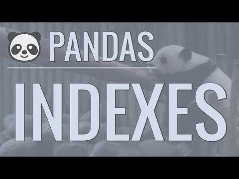 Python Pandas Tutorial (Part 3): Indexes - How to Set, Reset, and Use Indexes