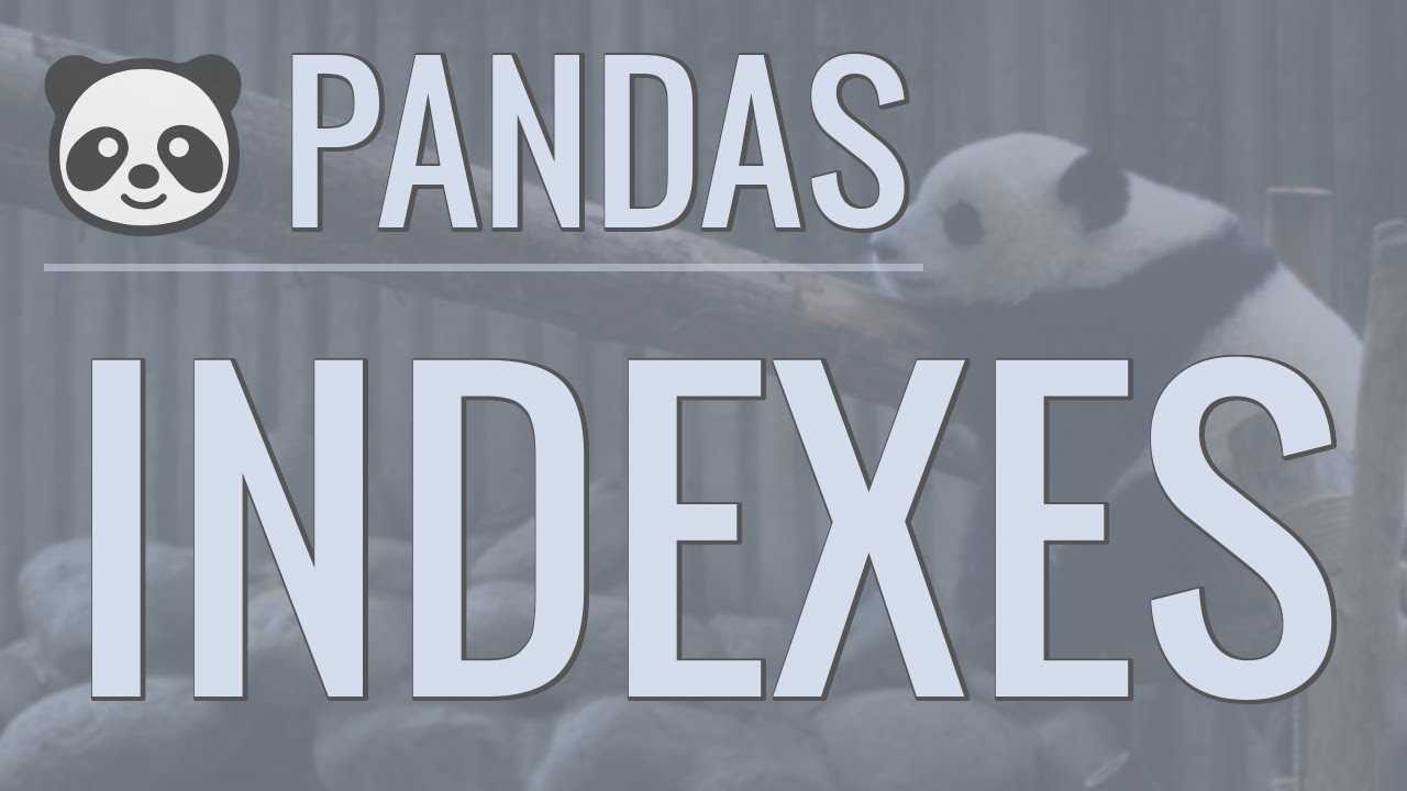 Master Pandas Indexes: Set, Reset & Use Them Effectively 📊