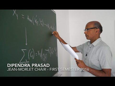 Interview at Cirm: Dipendra Prasad