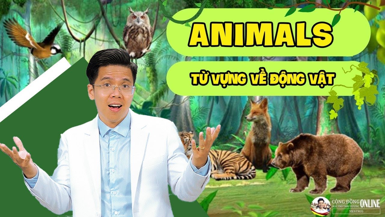 Từ Vựng Động Vật (Animals) - Thầy Dương 🦏