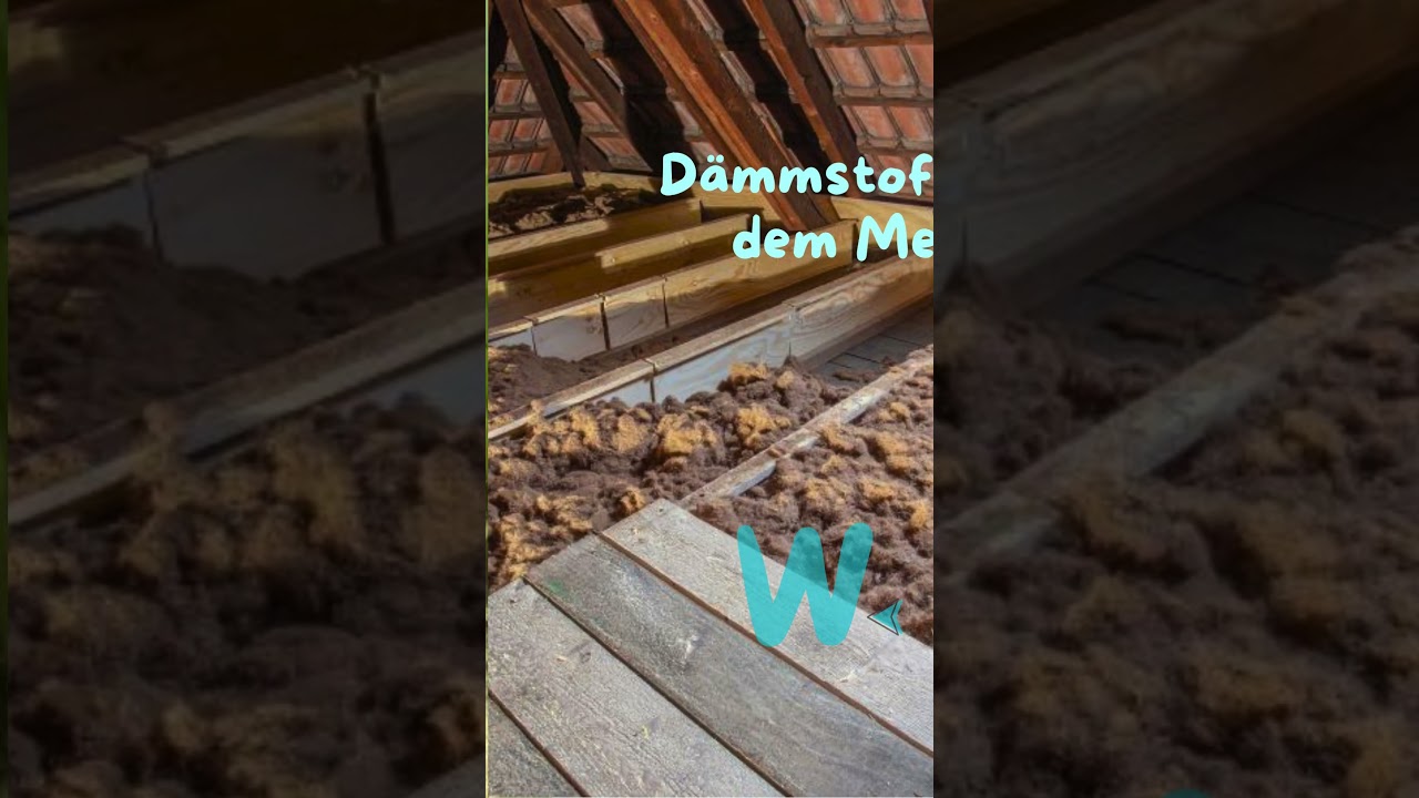 38 Tage bis zur BTW25: Natürlicher Klimaschutz 🌿