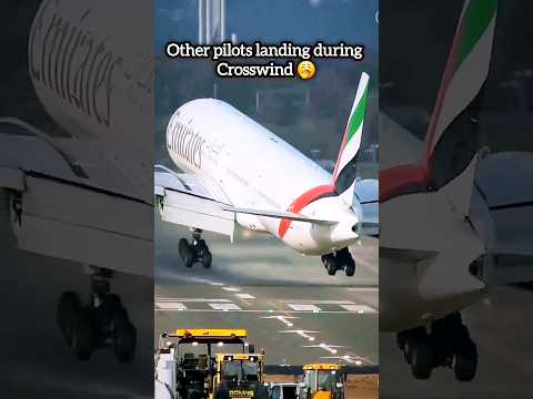 The true art of a crosswind landing 👌 #aviation #avgeek #shorts