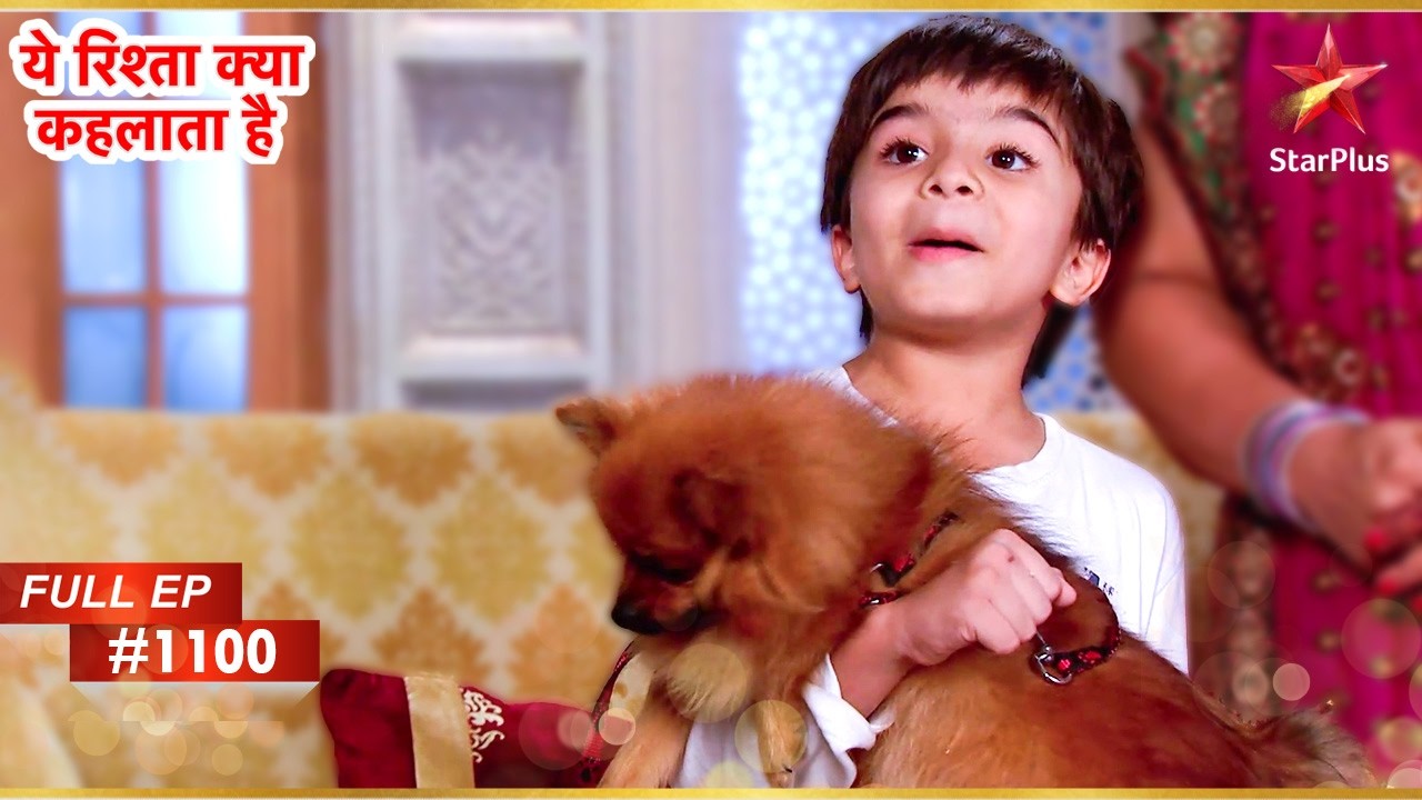 Naksh एक पिल्ला घर लेकर आया! | Full Episode:1100 | Yeh Rishta Kya Kehlata Hai