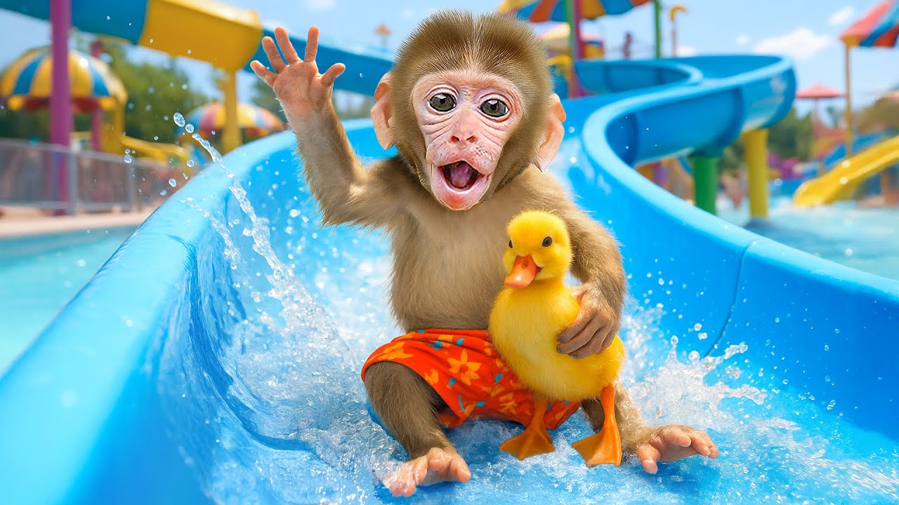 Adorable KIKI Monkey Enjoys Giant Water Slide & Takes Care of Ducklings 🐒💦