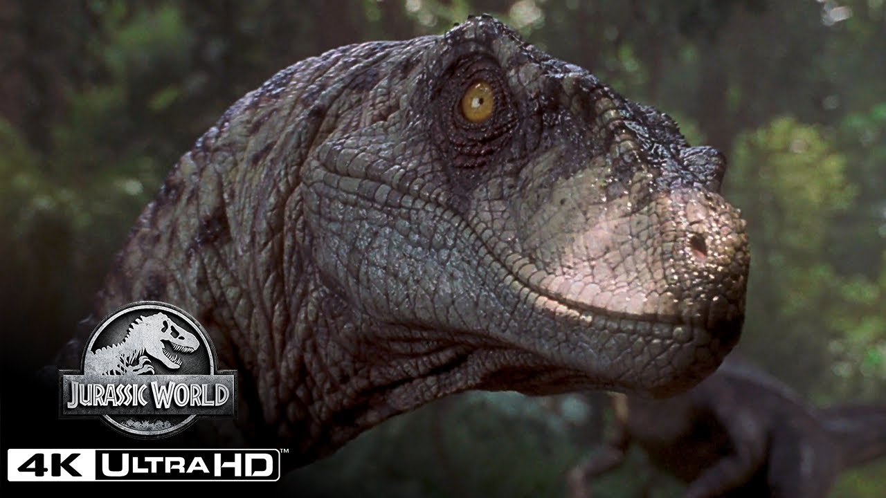 Top 10 Jaw-Dropping Velociraptor Moments in 4K HDR | Jurassic World 🦖