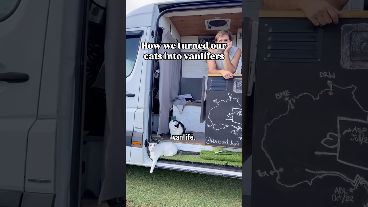 Our Cats Now Love Van Life š»