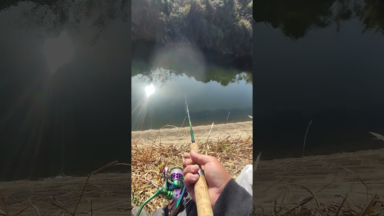 Magiqych Vlog Shorts #24899 🎥