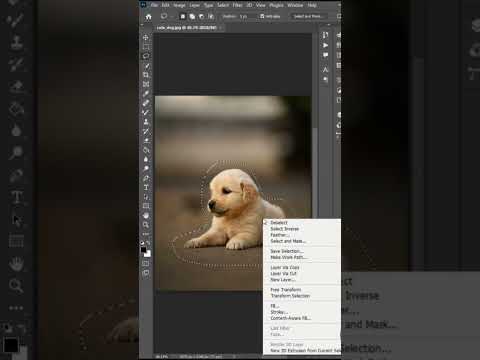 Adobe Essentials