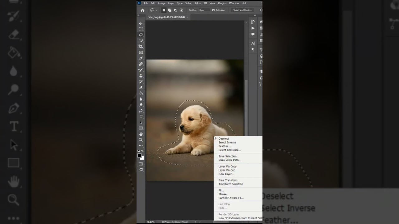 Mastering the Lasso Tool in Photoshop ✂️