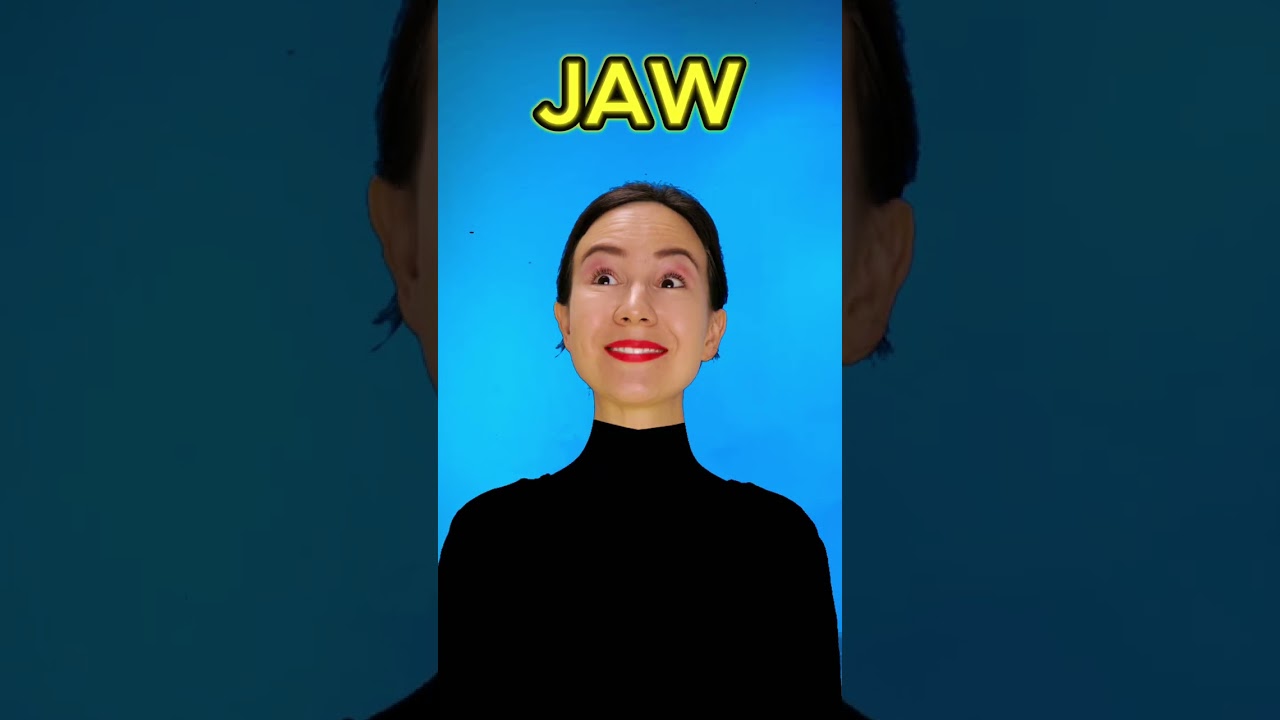 Fun & Easy Body Parts Learning for Kids 🧒 | Educational Song