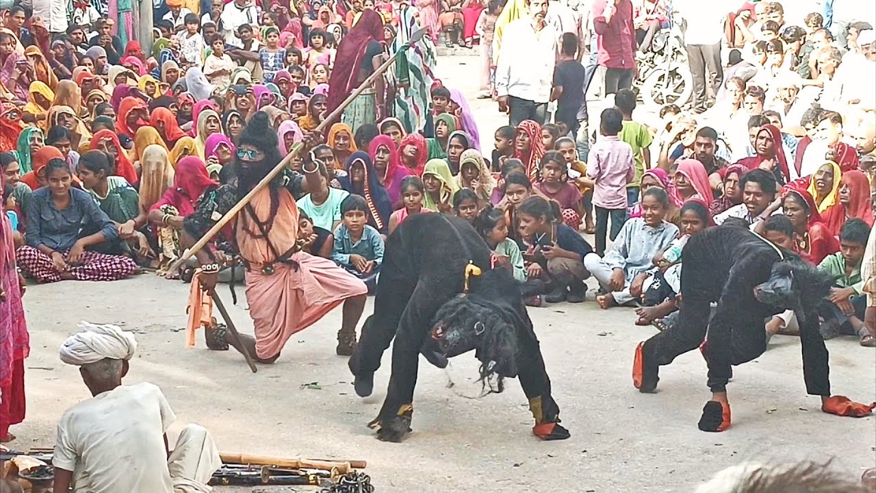 गवरी 2023: रीछ का खेल और शानदार गवरी का मज़ा 🐻