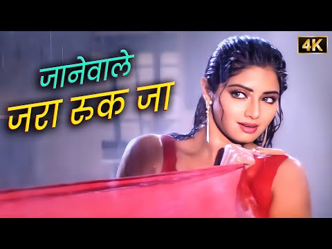 Jaanewale Zara Ruk Ja 💖 90s Sridevi-Anil Kapoor Superhit Song | Kavita Krishnamurthy, Vinod Rathod
