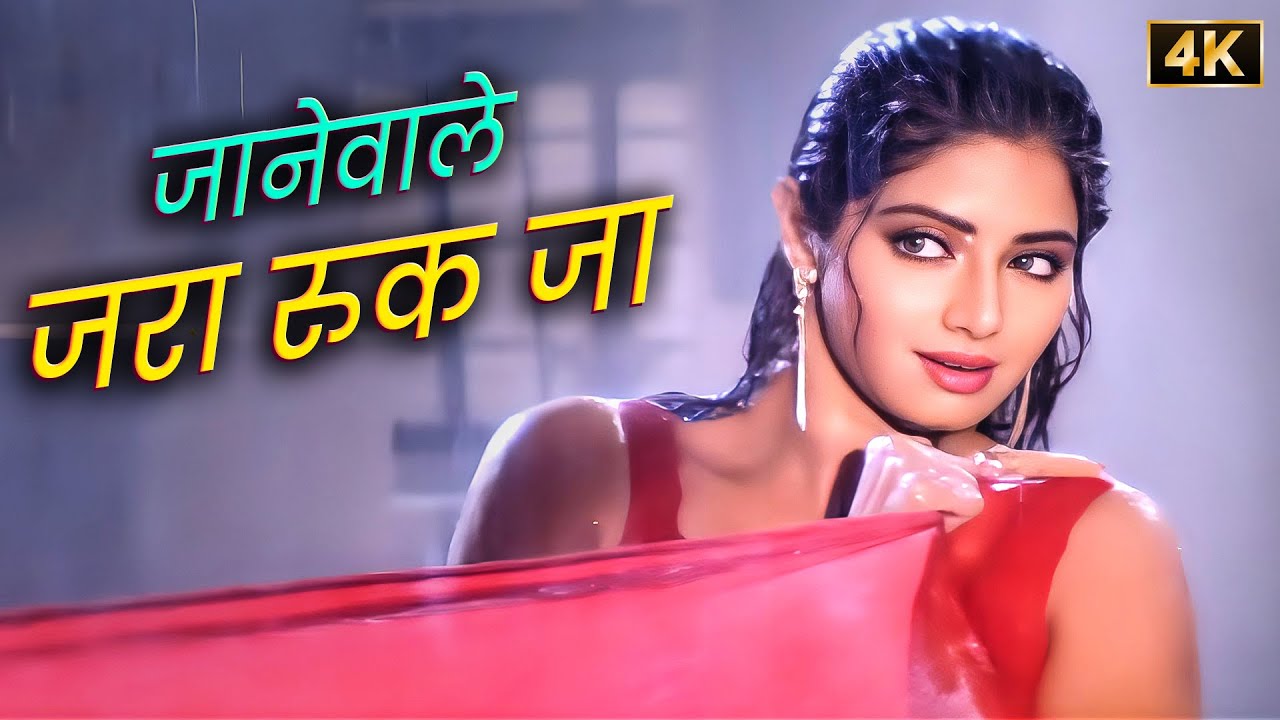Jaanewale Zara Ruk Ja 💖 90s Sridevi-Anil Hit Song