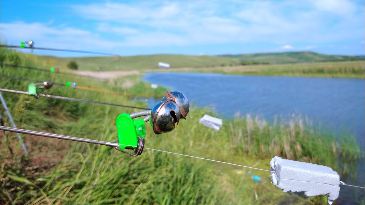 Лучшее июньское рыбалка на сазана 🎣