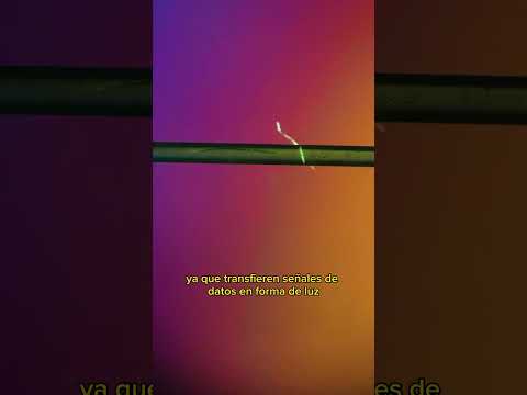 Fibra óptica bajo el Microscopio 🔬