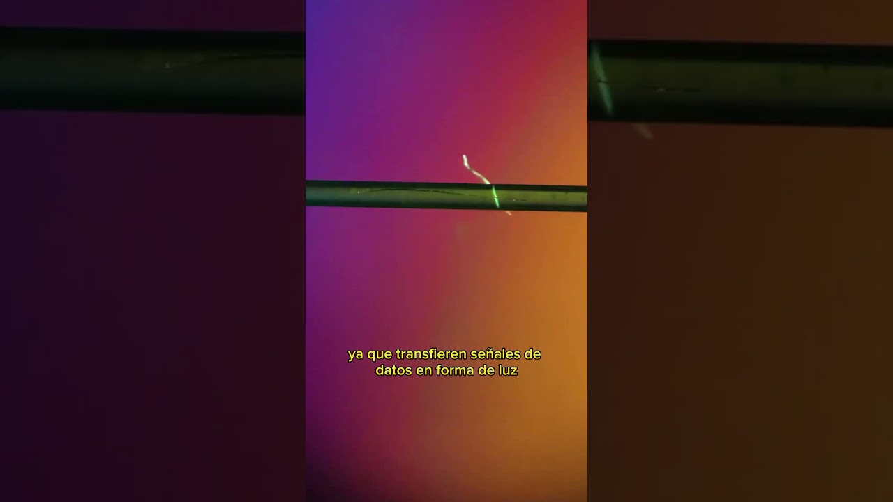 ¿Qué Ves con un Microscopio en la Fibra Óptica? 🔬