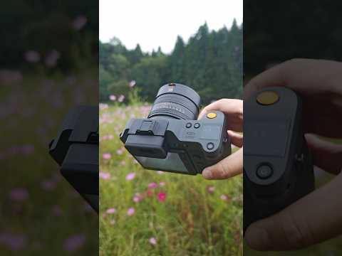 Medium Format Close-Up | Hasselblad X2D II 100C Detail Shot