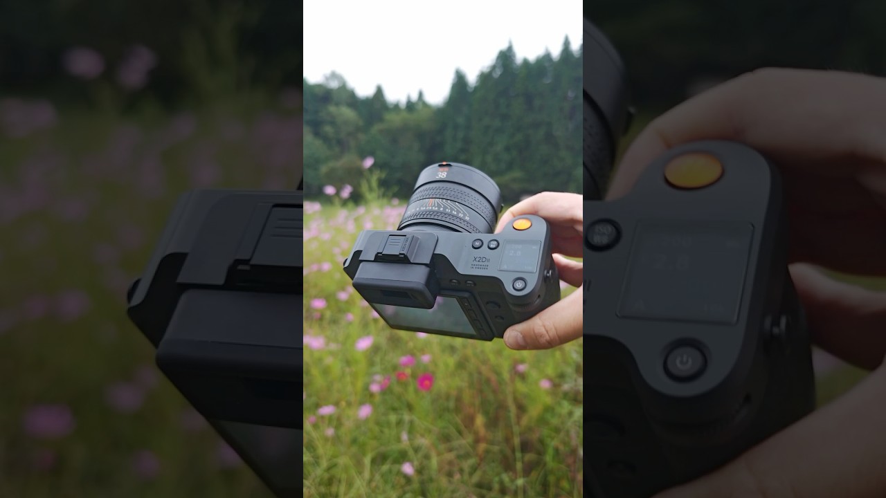 Hasselblad X2D II 100C Close-Up of Garden Castle ๐ฟ