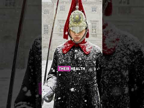 Secrets Royal Guards Don't Want You To Know 😱