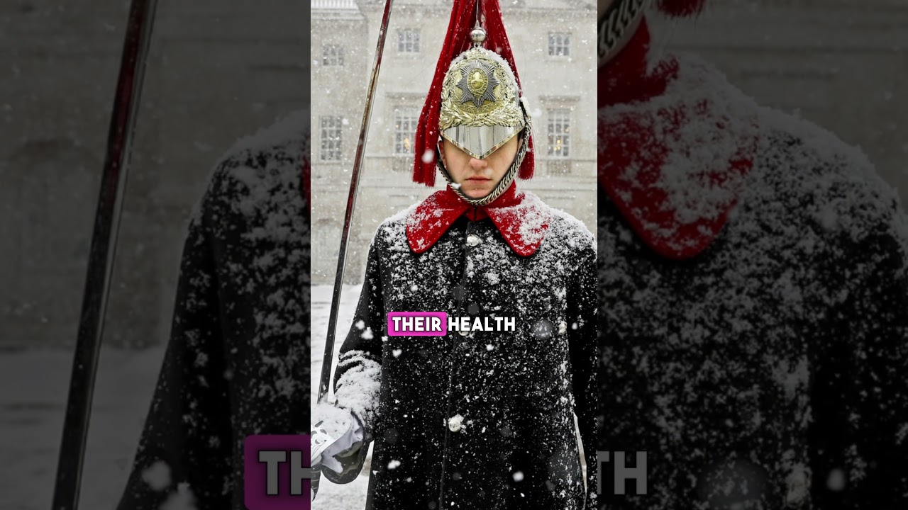 Uncover the Hidden Secrets Royal Guards Keep from the Public 👀