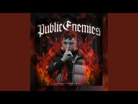 Public Enemies